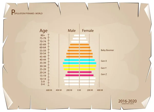Gráficos de pirámides de población 2016-2020 con 4 generaciones — Archivo Imágenes Vectoriales