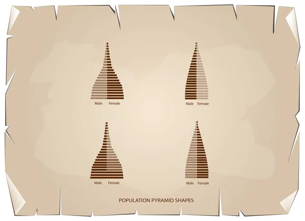 The 4 Types of Population Pyramids Graphs — Stock Vector