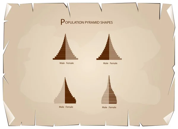 Die 4 Arten von Bevölkerungspyramiden-Diagrammen — Stockvektor