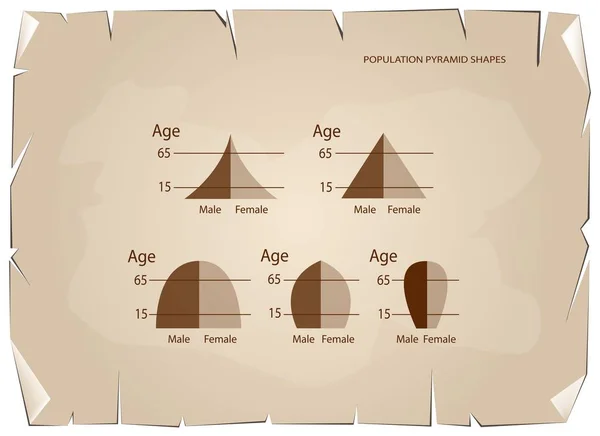 Différents types de pyramides de population sur fond de vieux papiers — Image vectorielle