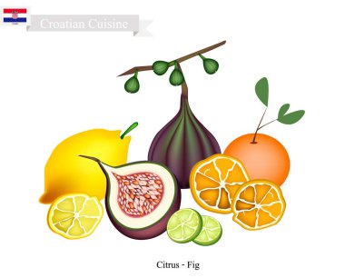 Narenciye ve incir, Hırvatistan'daki ünlü meyve