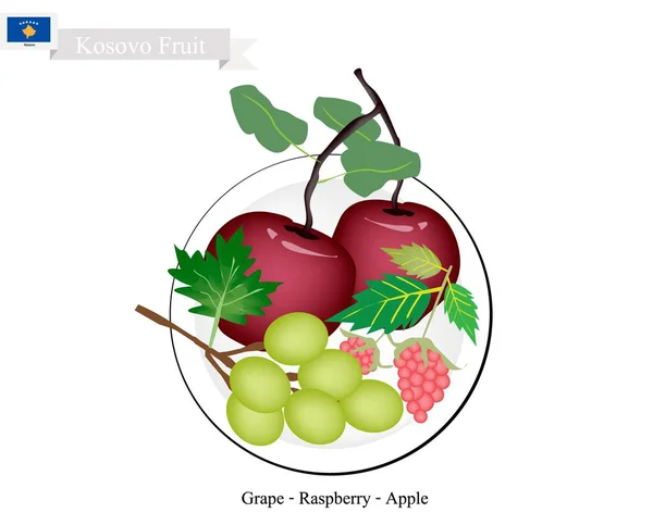 Fruta de Kosovo, manzana deliciosa, uvas y frambuesa — Vector de stock