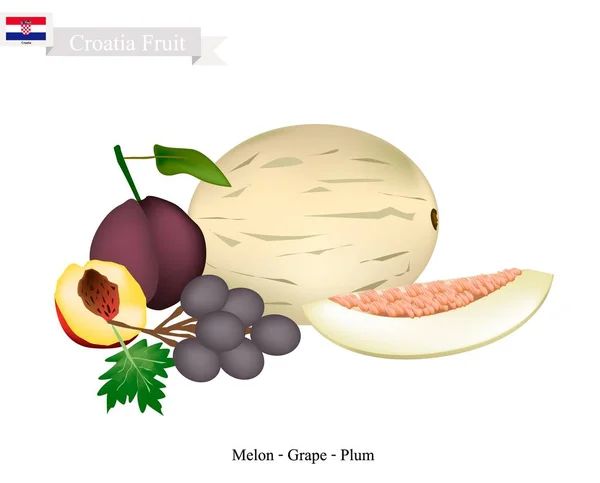 Melão, uvas e ameixa, Frutas populares da Croácia — Vetor de Stock