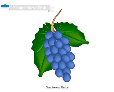 Olgun üzüm, Yemen'deki popüler bir meyve