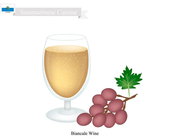 Biancale Wine, uma bebida alcoólica popular em San Marino — Vetor de Stock
