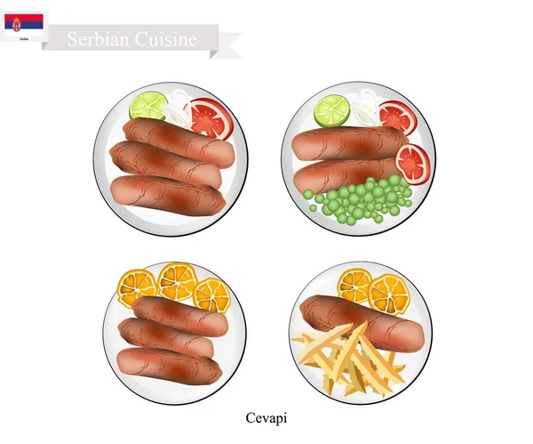 Cevapi o Cevapcici, El plato nacional de Serbia — Vector de stock