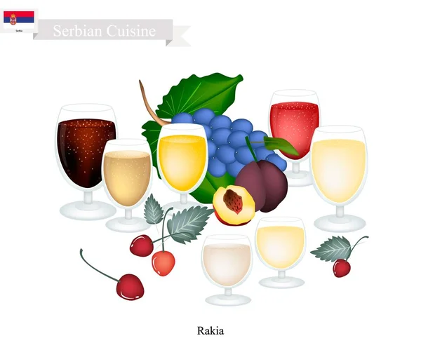 Rakia or Fruit Brandy, Popular Beverage in Serbia — Stock Vector