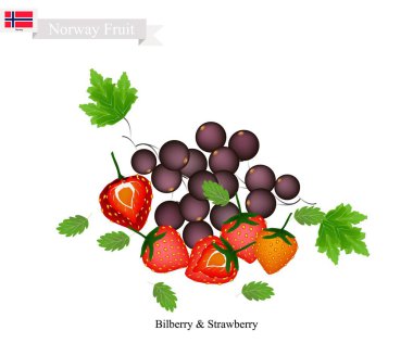 Bilberry ve çilek, Norveç'in popüler meyve