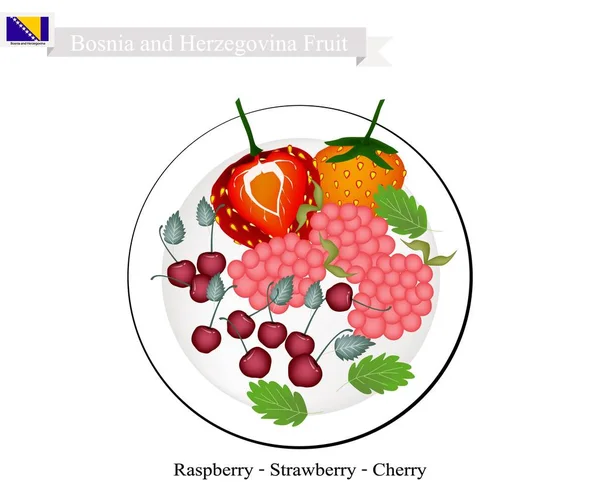 Βατόμουρο, φράουλα, κεράσι και φρούτα της Βοσνίας και Ερζεγοβίνης — Διανυσματικό Αρχείο