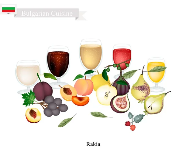 Rakija of Fruit Brandy, populaire drank in het Bulgaars — Stockvector