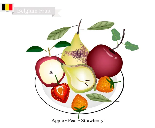 Φράουλα, αχλάδι και μήλο, τη δημοφιλή φρούτα του Βελγίου — Διανυσματικό Αρχείο