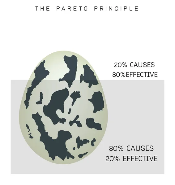 Principe de Pareto ou loi de la règle du Vital Few 80 / 20 — Image vectorielle