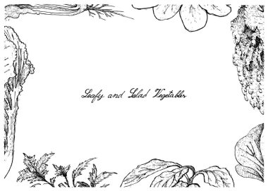 Elle çizilmiş olan yapraklı ve salata sebze