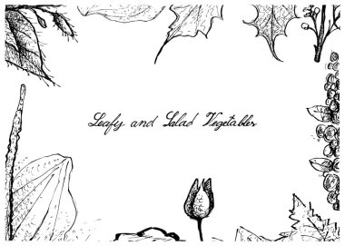 Elle çizilmiş olan yapraklı ve salata sebze