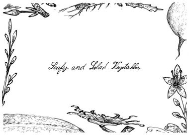 Elle çizilmiş olan yapraklı ve salata sebze