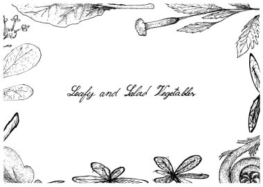 Elle çizilmiş olan yapraklı ve salata sebze