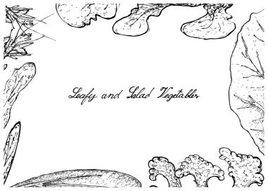 Elle çizilmiş olan yapraklı ve salata sebze