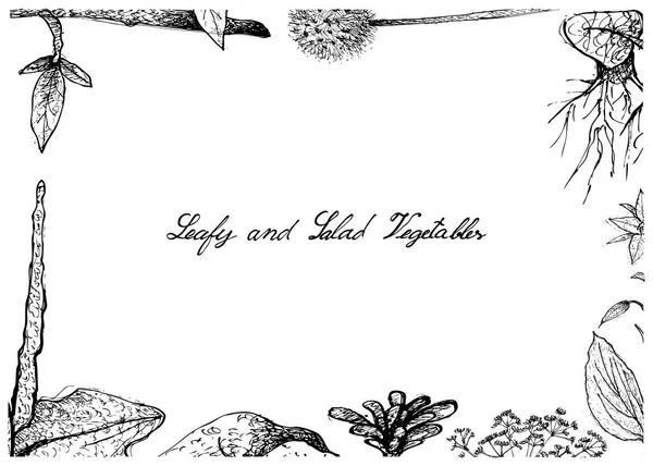 Disegnato a mano di verdure a foglia e insalata — Vettoriale Stock