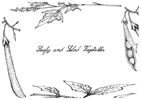 Ručně kreslenou z listové a zeleninový salát — Stockový vektor