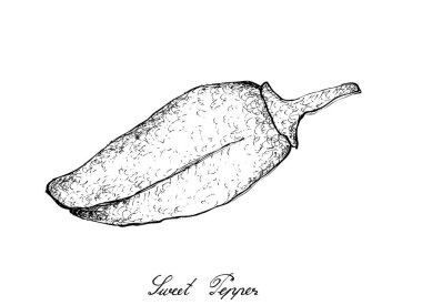 Elle çizilmiş taze renkli biber