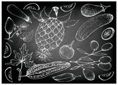 Elle çizilmiş kabak ve Squash meyve