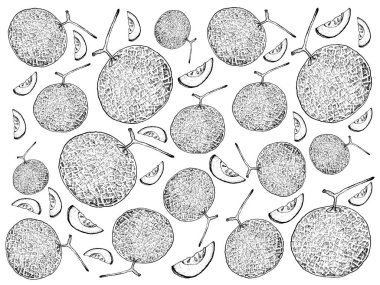 Elle çizilmiş olgun ve tatlı kavun arka planını