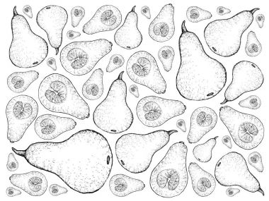 Elle çizilmiş taze Butternut Squashes arka planını