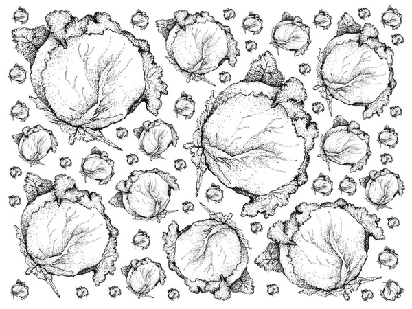 손으로 그린 신선한 녹색 양배추 배경 — 스톡 사진