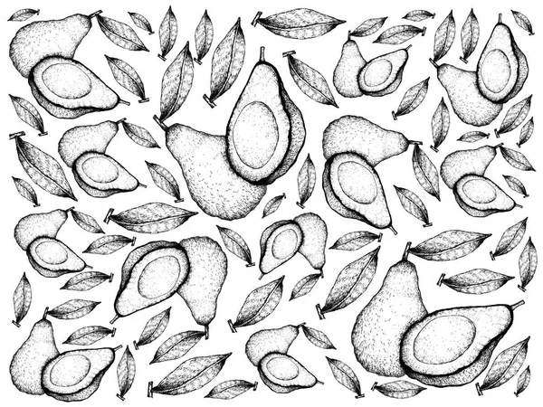 Ręcznie rysowane tła świeży zielony awokado — Zdjęcie stockowe