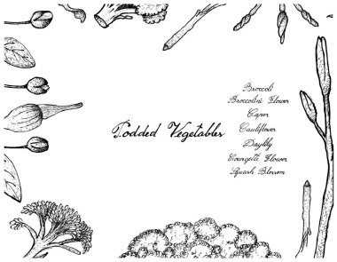 Elle poda sebze çerçeve beyaz arka plan üzerinde çizilmiş