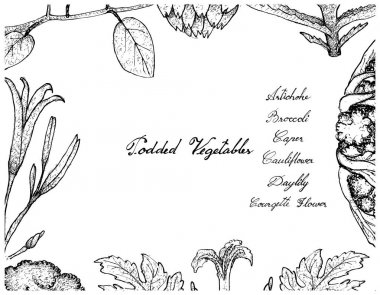 Elle poda sebze çerçeve beyaz arka plan üzerinde çizilmiş