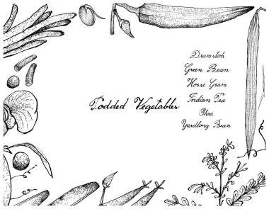 Elle poda sebze çerçeve beyaz arka plan üzerinde çizilmiş