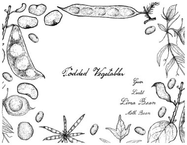 Elle poda sebze çerçeve beyaz arka plan üzerinde çizilmiş