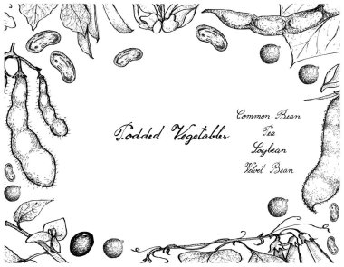 Hand Drawn of Podded Vegetables Frame on White Background clipart