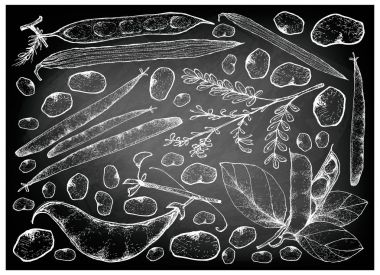 Elle poda sebzelerin kara tahta çizilmiş