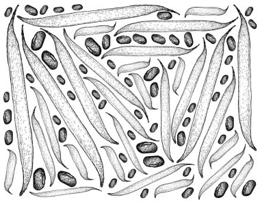 El Ricebean Pod ve tahıl arka plan çekilmiş