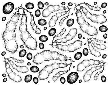 Elle çizilmiş taze yeşil soya fasulyesi arka planını