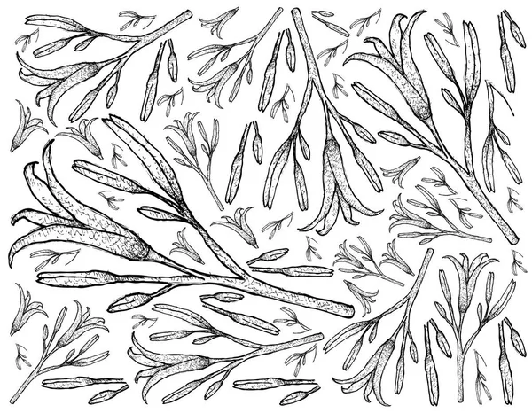 Dibujado a mano de plantas frescas diurnas Fondo — Archivo Imágenes Vectoriales