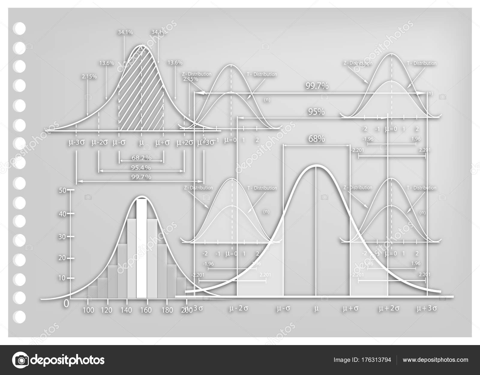 Size Of Normal Chart Paper