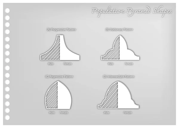 Arte do papel de quatro tipos de pirâmides populacionais —  Vetores de Stock