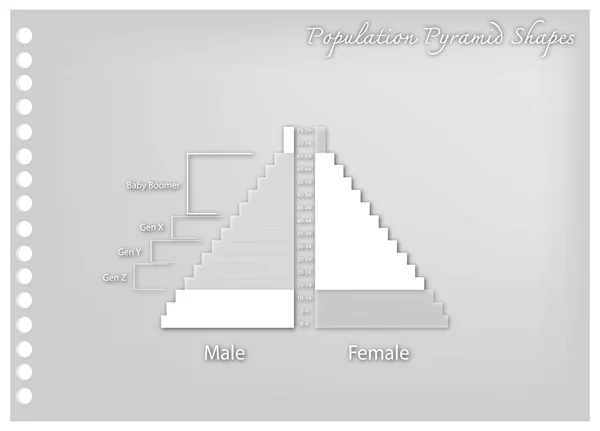 Carta Arte della Popolazione Piramidi Grafico con 4 Generazione — Vettoriale Stock
