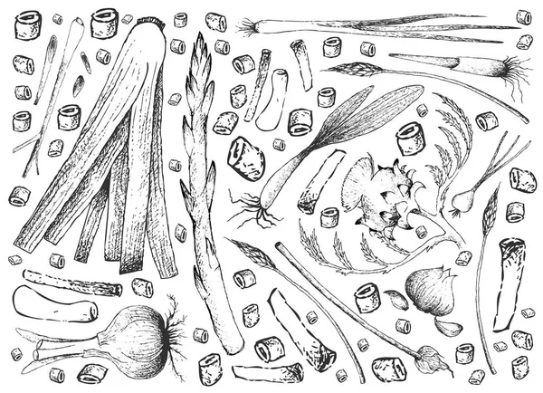 Dessiné à la main des bulbes et des légumes-tiges Contexte — Image vectorielle