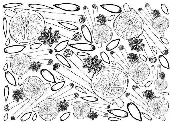 Stjärnanis och kanel pinnar med torkade Orange bakgrund — Stock vektor