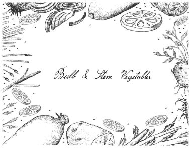 Ampul ve kök sebzeler çerçeve beyaz arka plan üzerinde