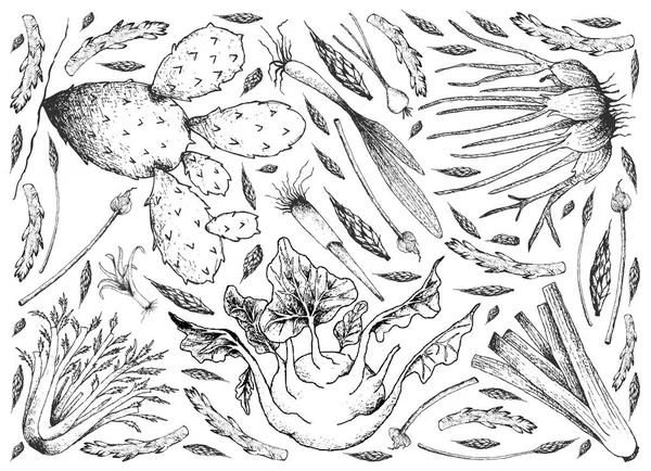灯泡和茎菜的手绘背景 — 图库矢量图片
