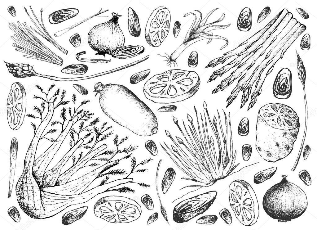 Hand Drawn of Bulb and Stem Vegetables Background