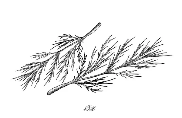 Dessiné à la main de plantes pluviales sur fond blanc — Image vectorielle