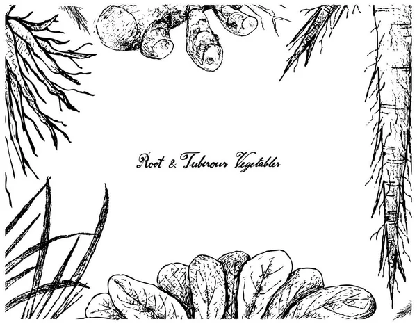 Cornice disegnata a mano di verdure alla radice e tuberose — Vettoriale Stock