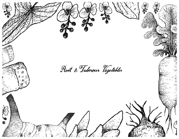 El çizilmiş kare kök ve tüberoz sebze 