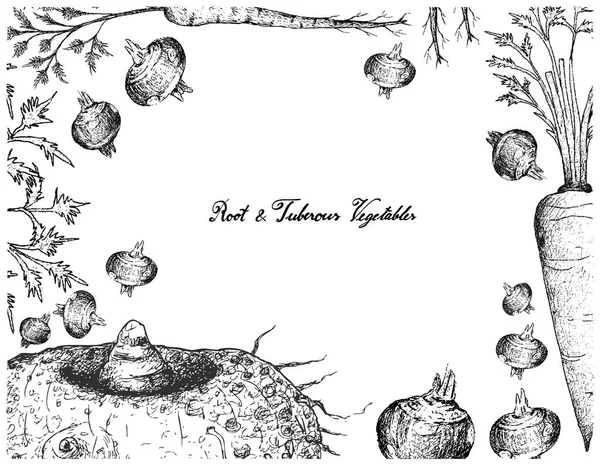 Marco dibujado a mano de raíces y verduras tuberosas — Vector de stock